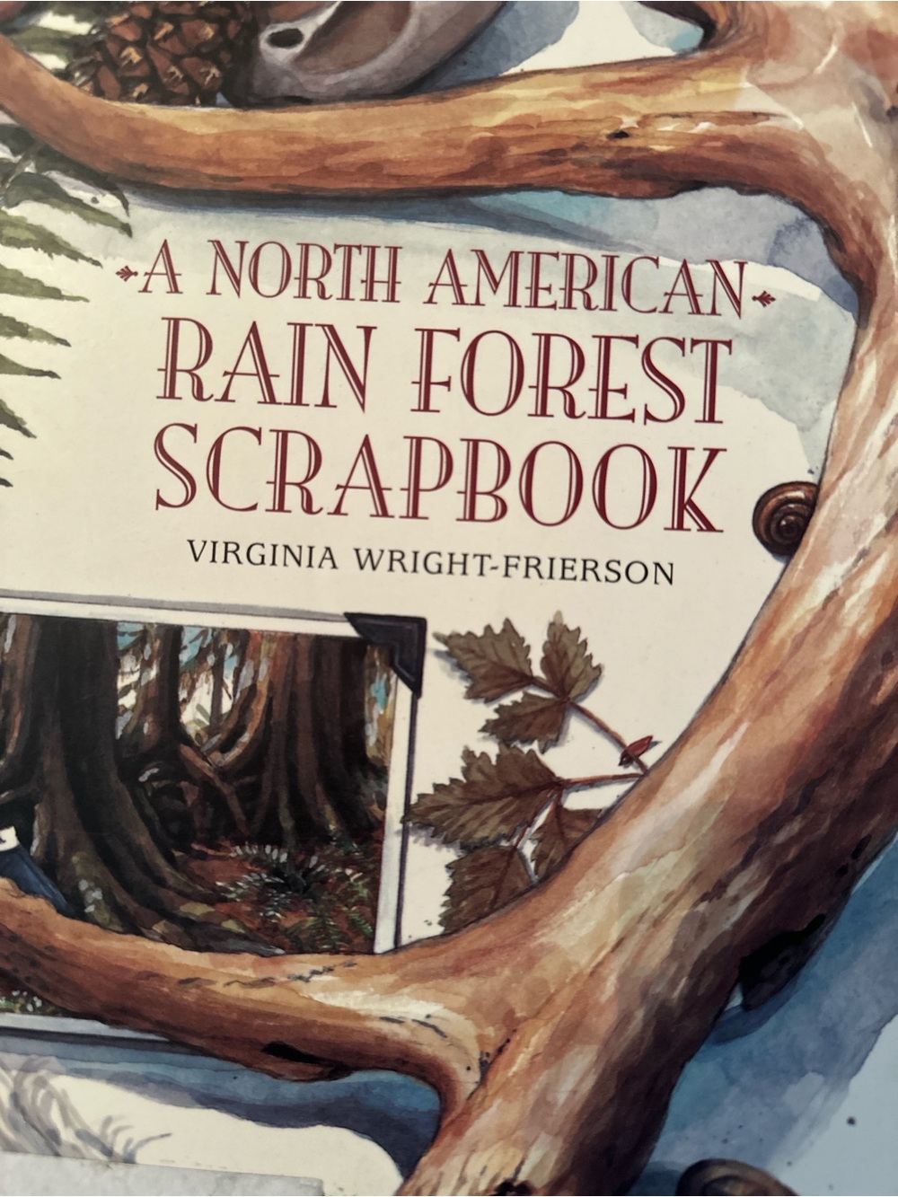 Kids Book Award Winning North American Rainforest Scrapbook science history